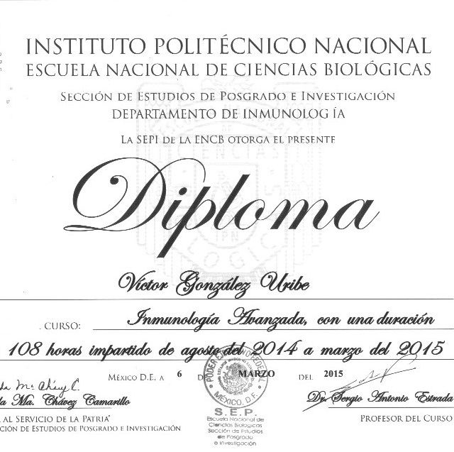 Ampliar imagen: certificate 1