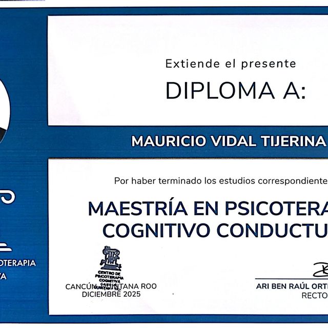 Ampliar imagen: certificate 2