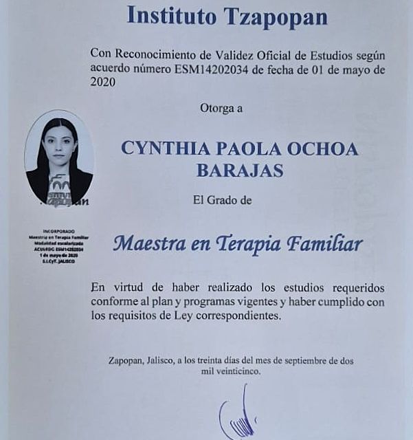 Ampliar imagen: certificate 2