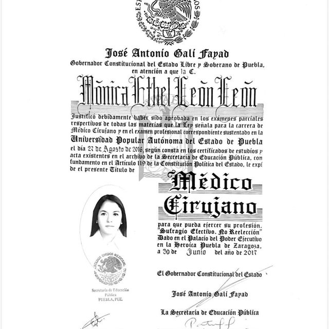 Ampliar imagen: certificate 3