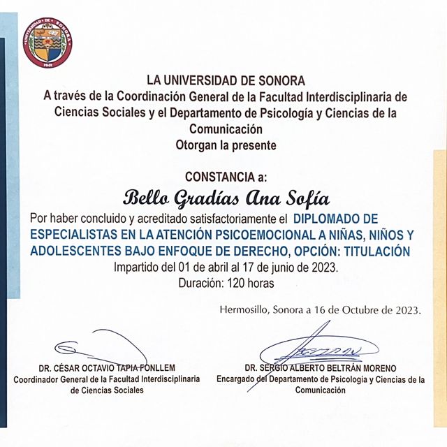 Ampliar imagen: certificate 4
