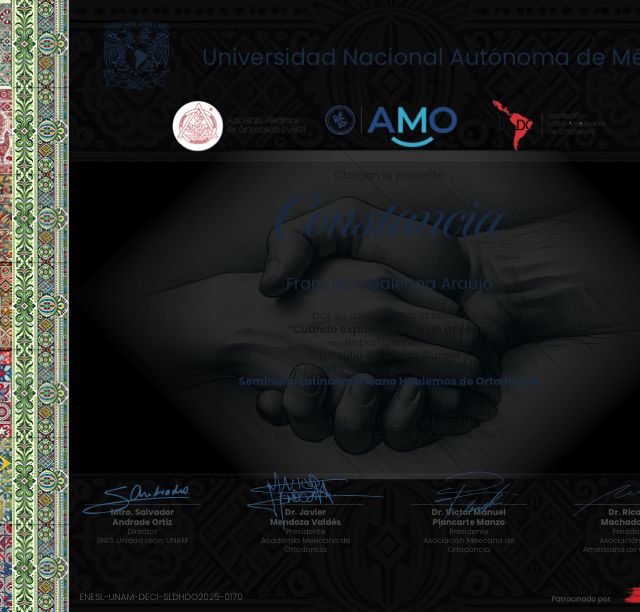 Ampliar imagen: certificate 5
