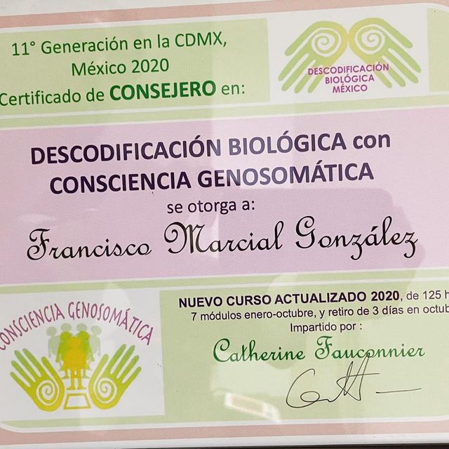 Ampliar imagen: certificate 5