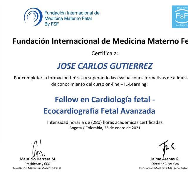 Ampliar imagen: certificate 2