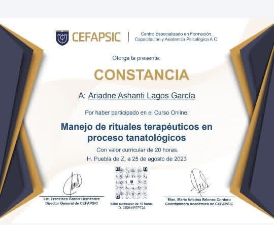 Ampliar imagen: certificate 7
