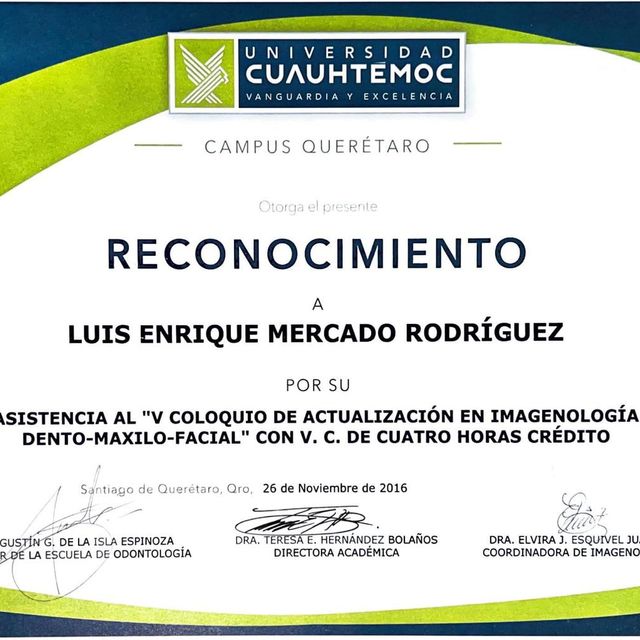 Ampliar imagen: certificate 3