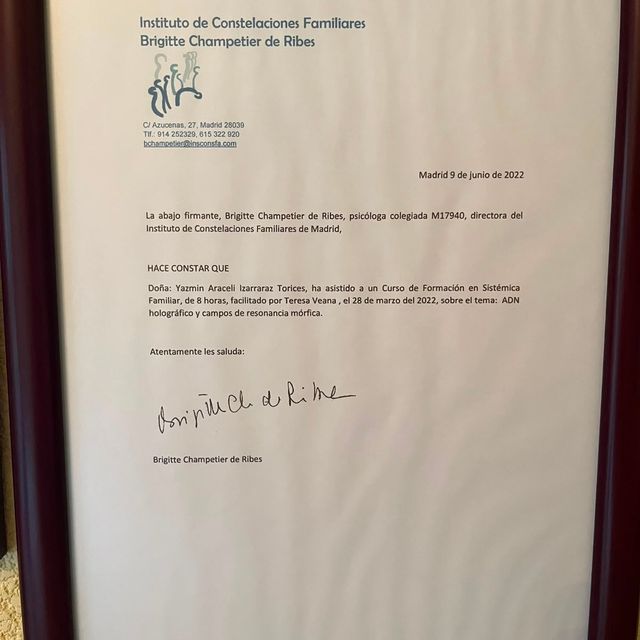 Ampliar imagen: certificate 13