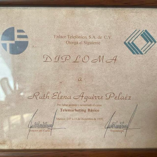 Ampliar imagen: certificate 13