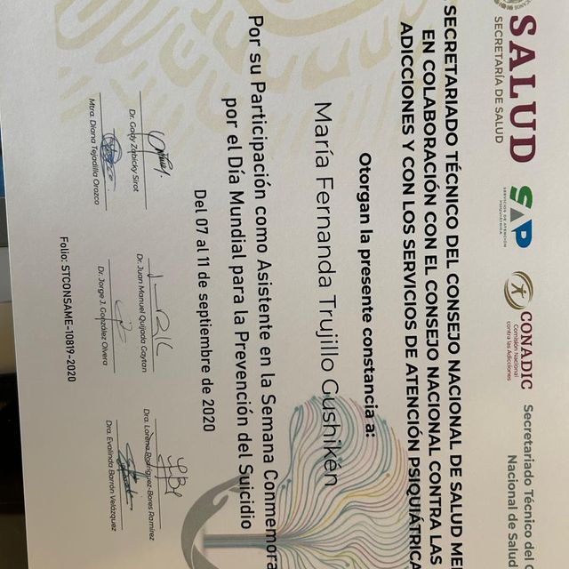 Ampliar imagen: certificate 20