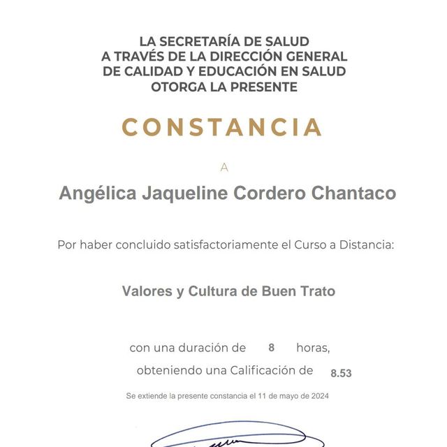 Ampliar imagen: certificate 3
