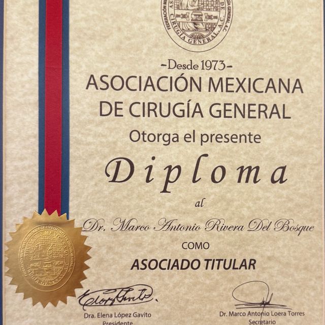 Ampliar imagen: certificate 3