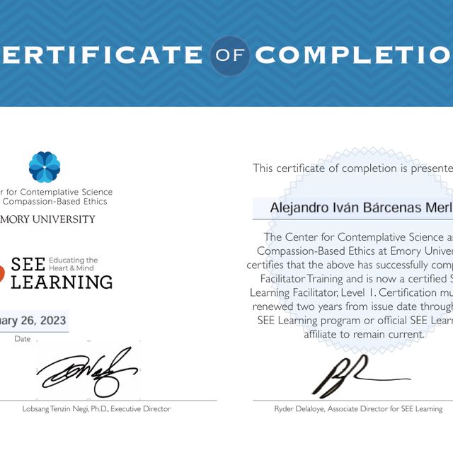 Ampliar imagen: certificate 2