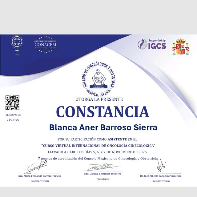 Ampliar imagen: certificate 4