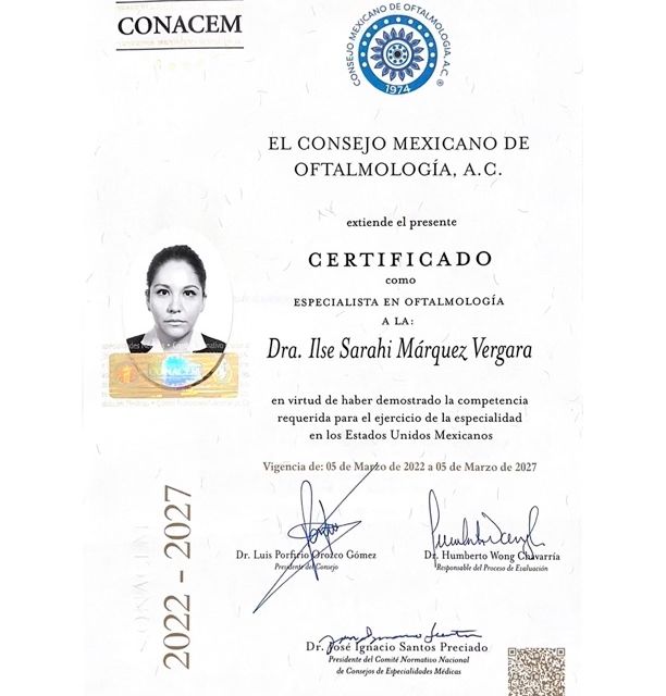 Ampliar imagen: certificate 4