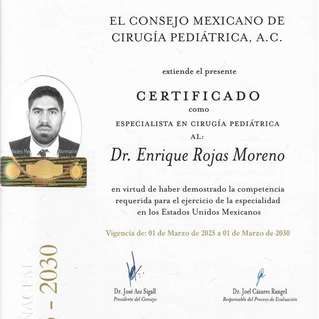 Ampliar imagen: certificate 1