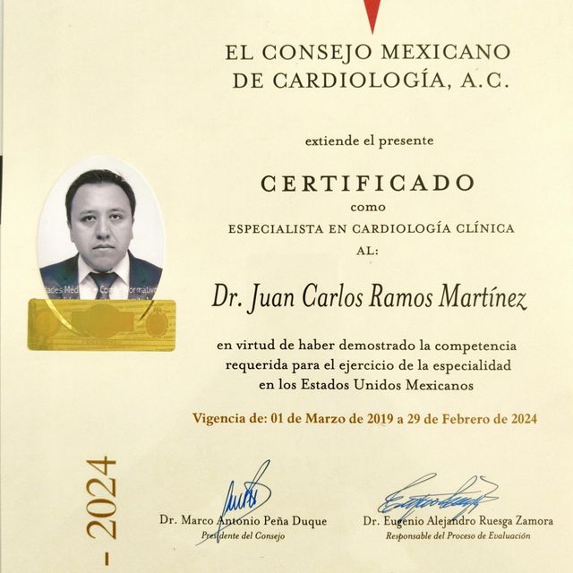 Ampliar imagen: certificate 1