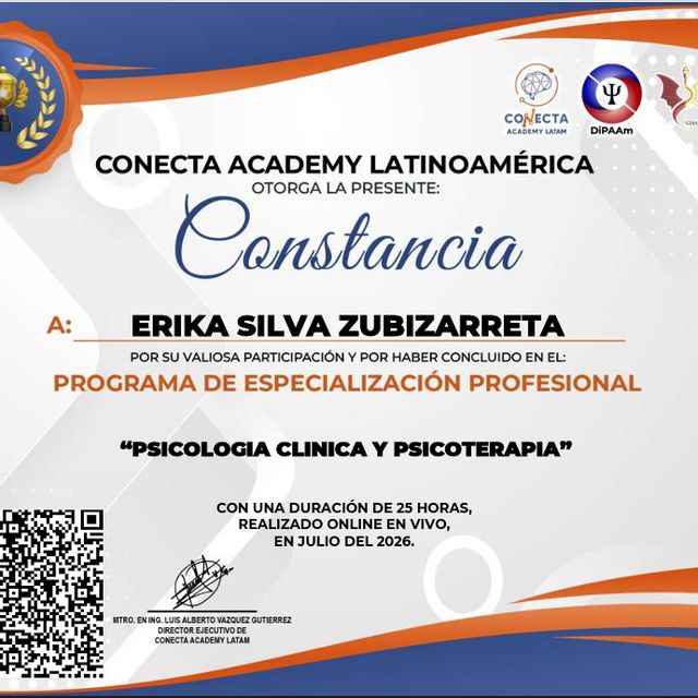 Ampliar imagen: certificate 1