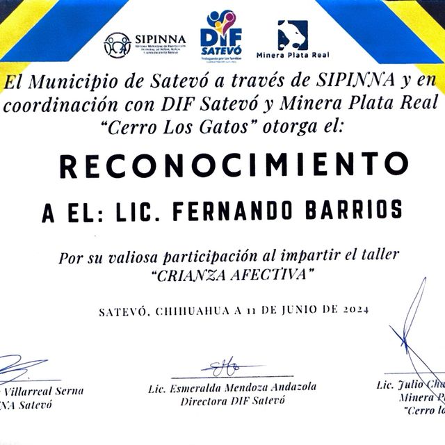 Ampliar imagen: certificate 11