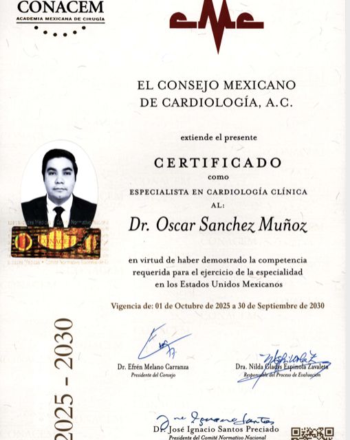Ampliar imagen: certificate 1