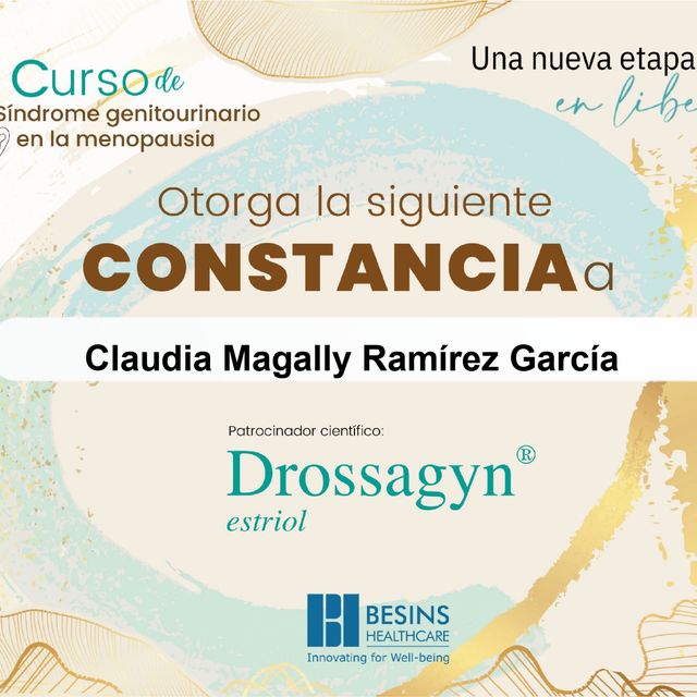 Ampliar imagen: certificate 10