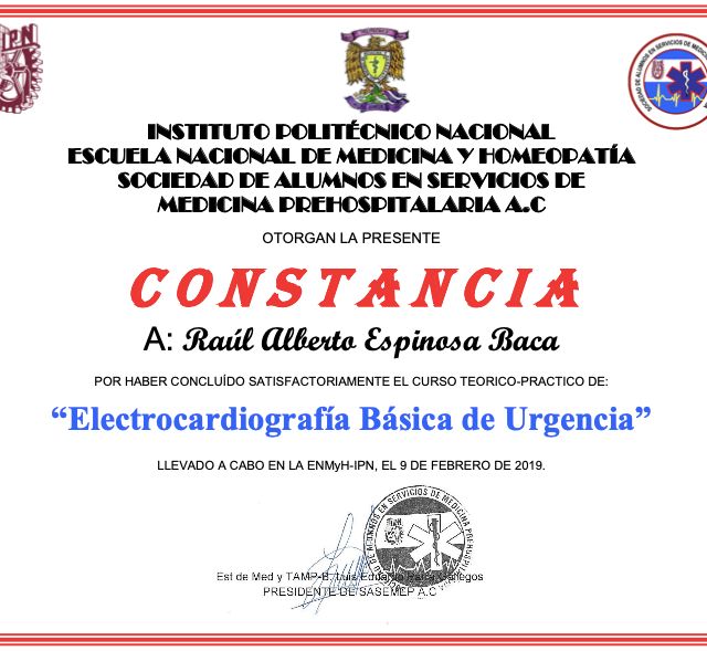 Ampliar imagen: certificate 8
