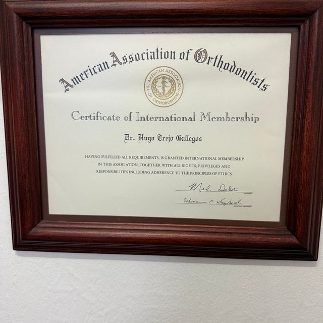 Ampliar imagen: certificate 6