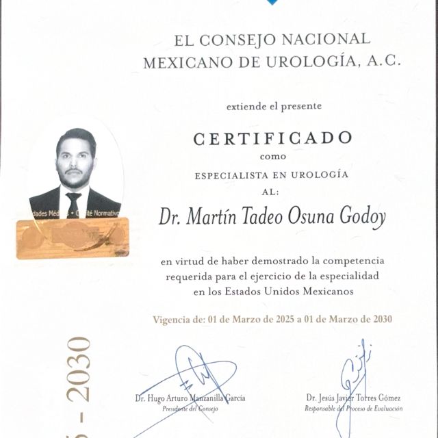 Ampliar imagen: certificate 2