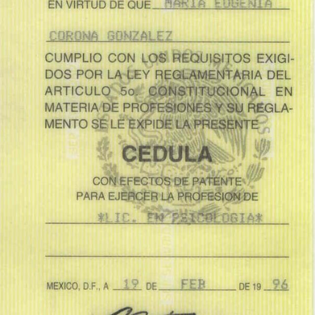Ampliar imagen: certificate 2