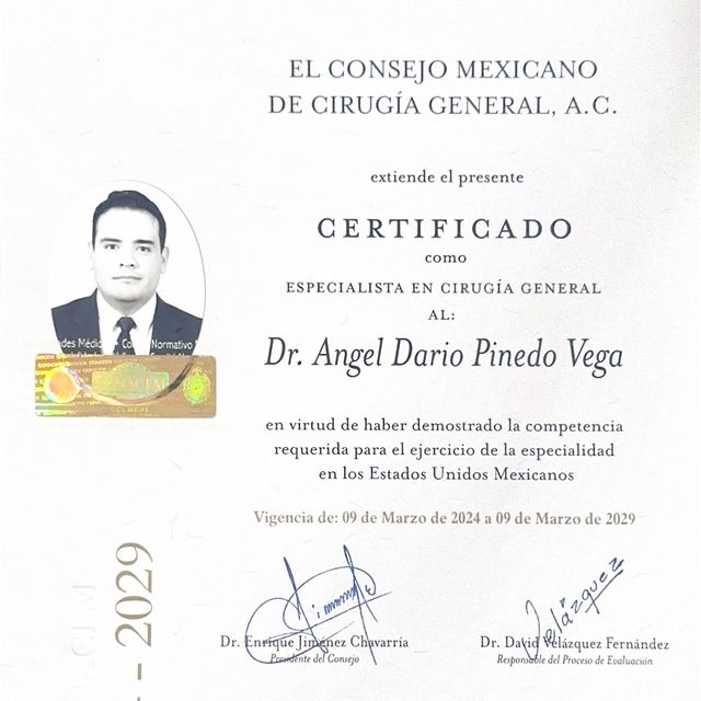 Ampliar imagen: certificate 1