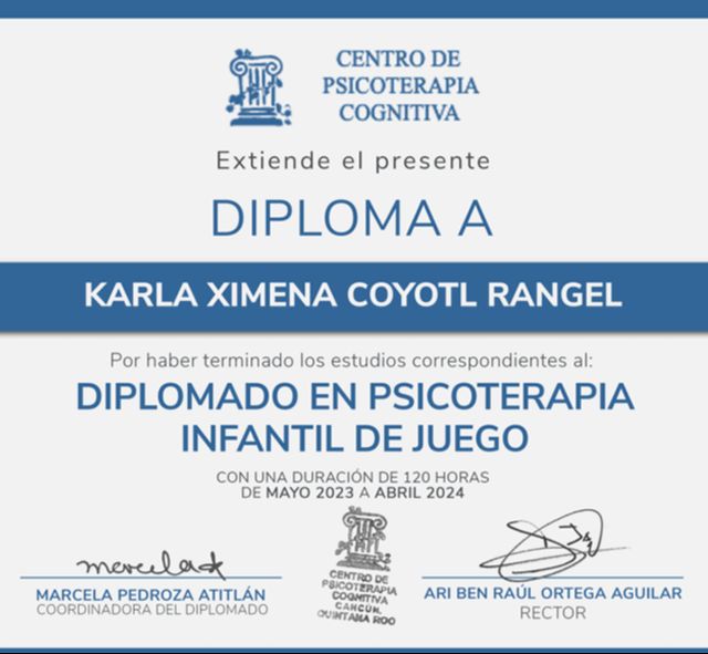 Ampliar imagen: certificate 1
