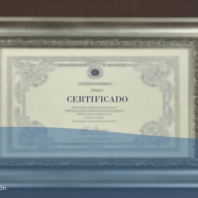 Ampliar imagen: certificate 1