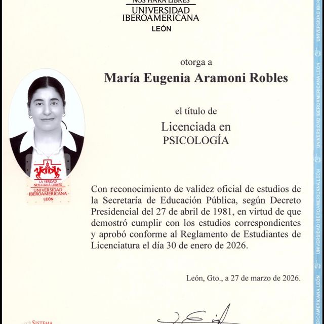 Ampliar imagen: certificate 2