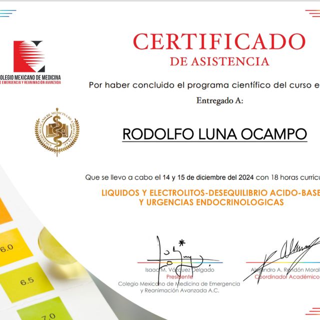 Ampliar imagen: certificate 10