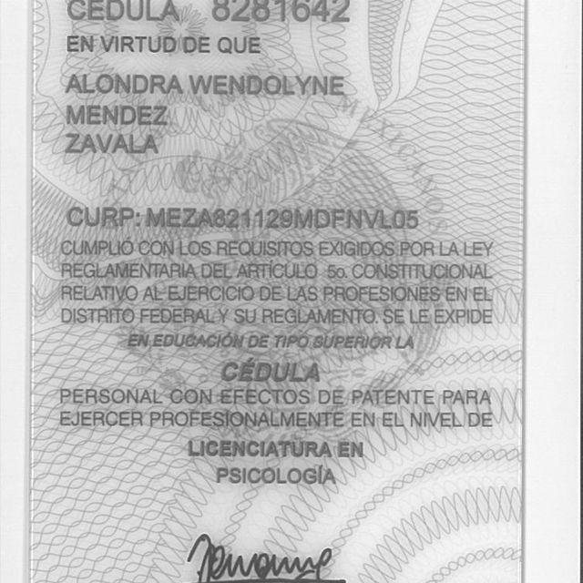 Ampliar imagen: certificate 2