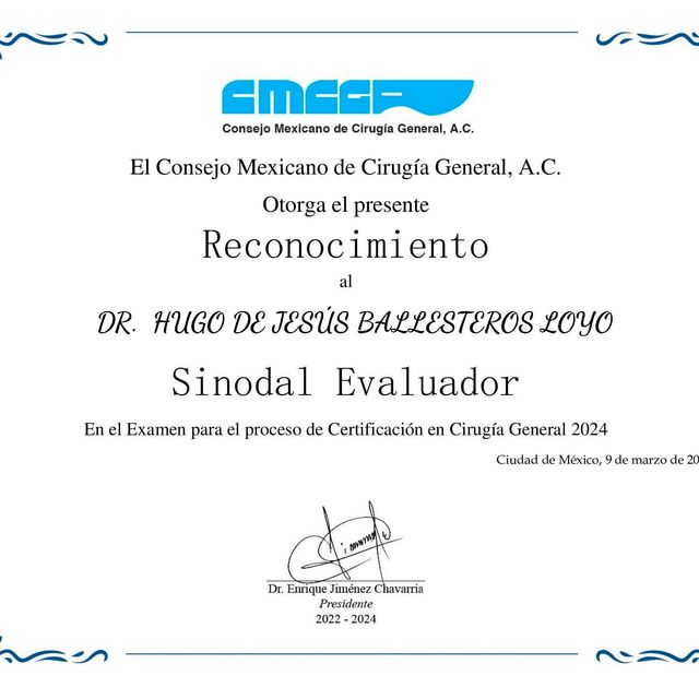 Ampliar imagen: certificate 4