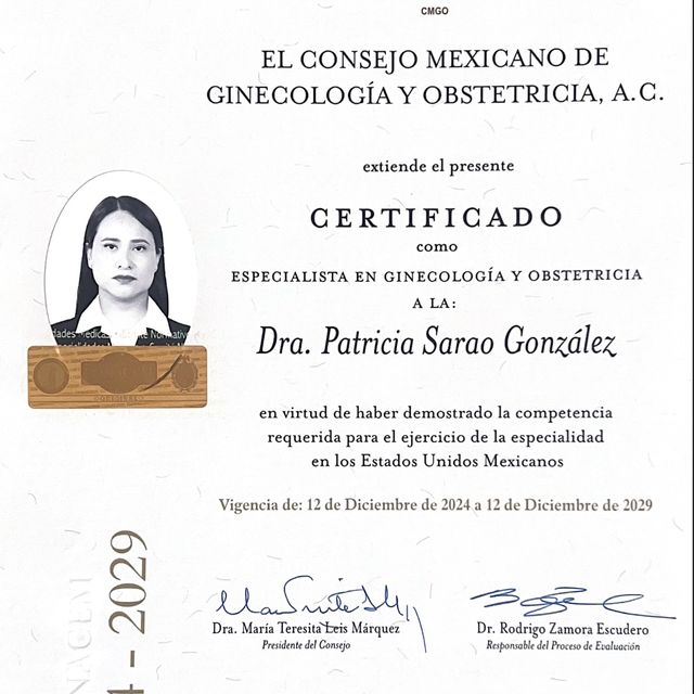 Ampliar imagen: certificate 2