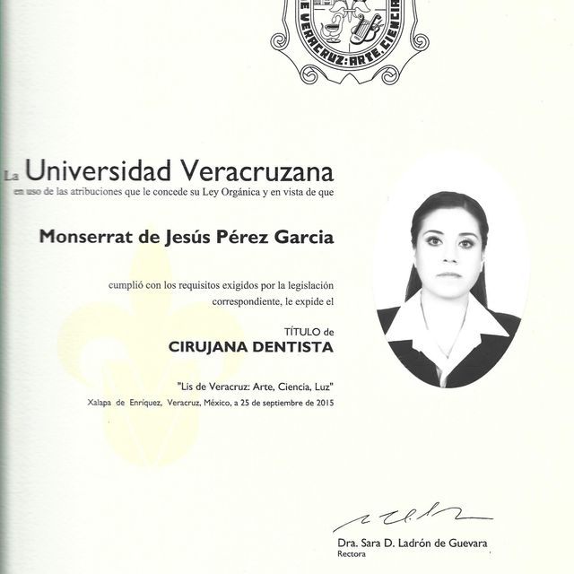 Ampliar imagen: certificate 3