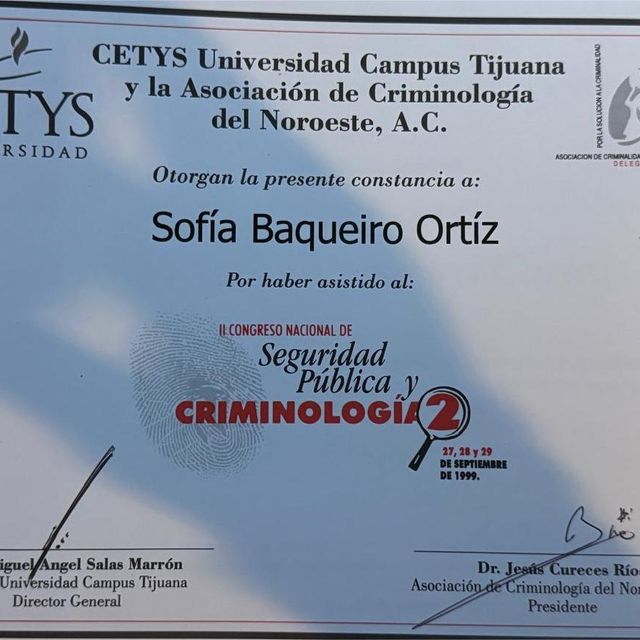 Ampliar imagen: certificate 3