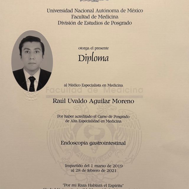 Ampliar imagen: certificate 3