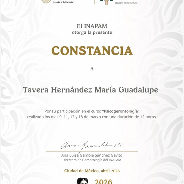 Ampliar imagen: certificate 1
