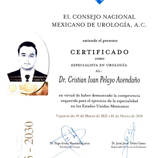 Ampliar imagen: certificate 1