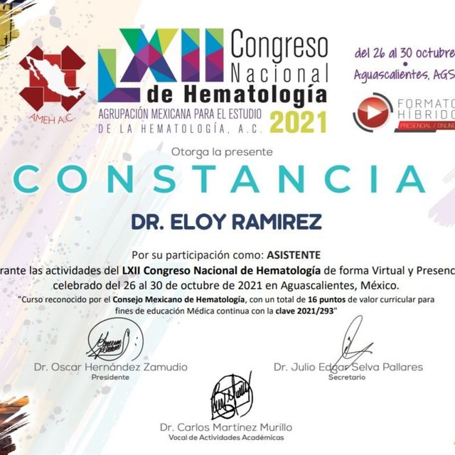 Ampliar imagen: certificate 12