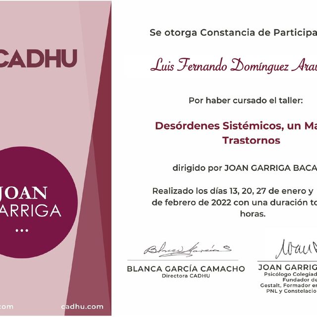Ampliar imagen: certificate 8