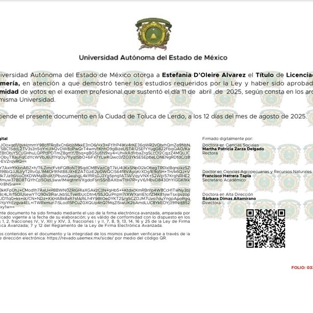 Ampliar imagen: certificate 3