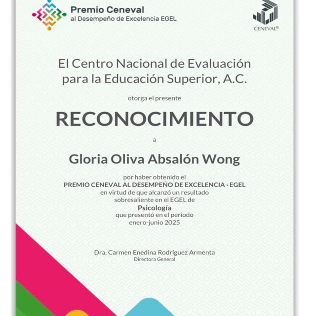 Ampliar imagen: certificate 7