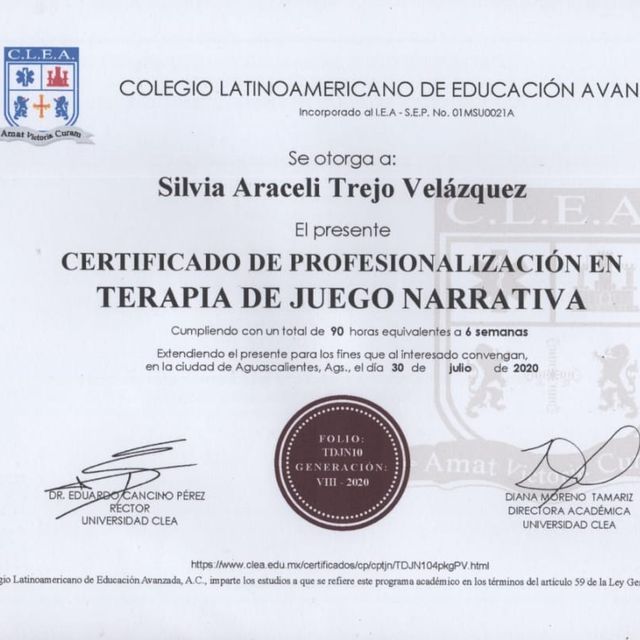 Ampliar imagen: certificate 11