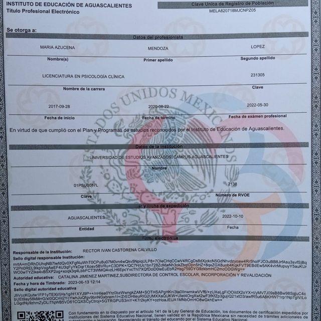 Ampliar imagen: certificate 2