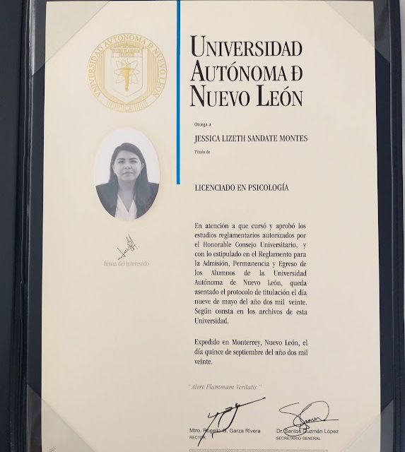 Ampliar imagen: certificate 2