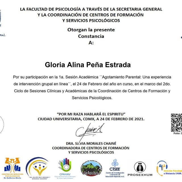 Ampliar imagen: certificate 41