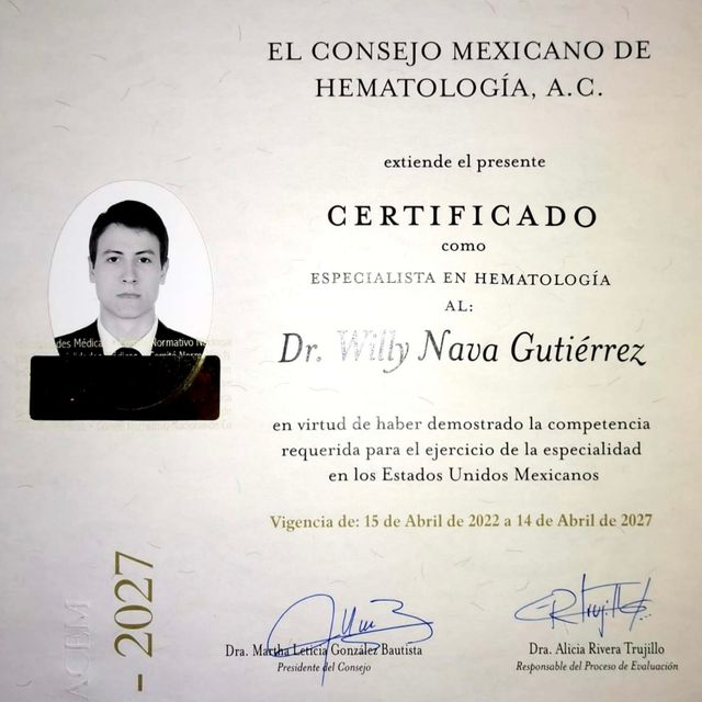 Ampliar imagen: certificate 3